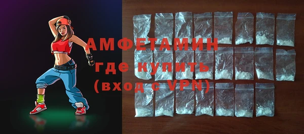 гидра Рославль