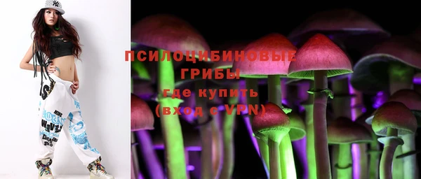 гашик Армянск